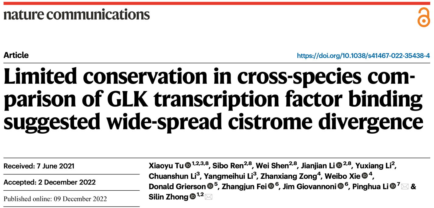 Nature Communications—涂晓雨团队与合作者发文揭示植物光合作用关键基因GLK调控网络1亿年的演化博弈 研究成果